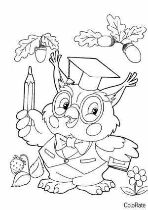 Раскраска Мудрая сова