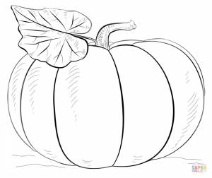Раскраска Тыква