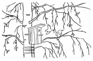 Вытынанки ко Дню России на окна