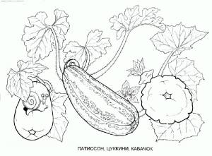 Раскраска овощи