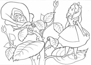 Pаскраска Алиса в стране чудес 127962