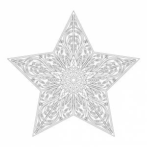 Раскраска рождественская звезда с цветочным рисунком