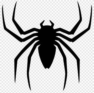 Паук хэллоуин рисунок, черный паук, фотография, насекомые png