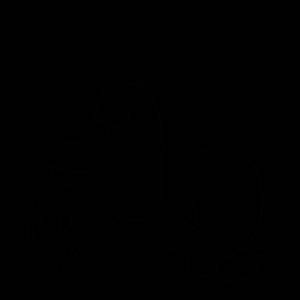 Раскраска Холодное Сердце снеговик Олаф и подснежник