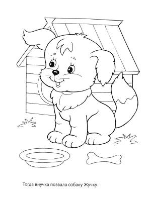 Раскраски репка, Раскраска Жучка репка