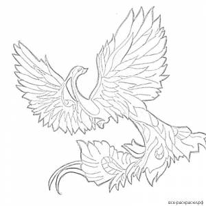 Раскраски жар птица на дереве