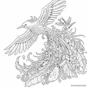 DataLife Engine > Версия для печати > Раскраски жар птица в цвете