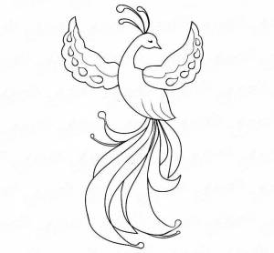 Жар птица рисунок карандашом легкий
