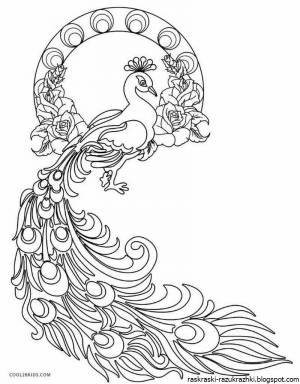 Жар птица раскраска для детей