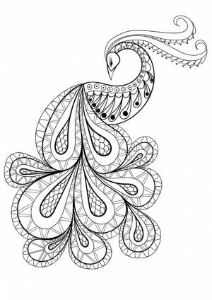 Раскраска картинки Жар