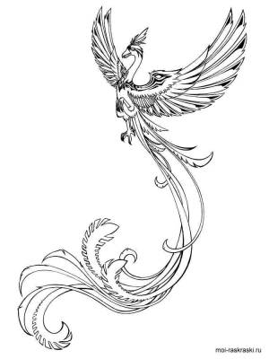 Раскраска Жар птица