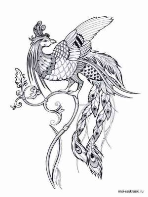 Раскраска Жар птица