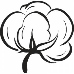 Рисунок раскраска хлопок