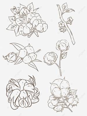 рисунок хлопок 2 векторный материал PNG , хлопок рисунок, хлопок 2, Вектор PNG картинки и пнг PSD рисунок для й загрузки