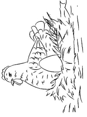 Раскраски Раскраска Курочка ряба снесла непростое яичко курочка ряба