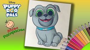 ДружныеМопсы Раскраска для детей Раскраска Бинго из мультика Дружные мопсы