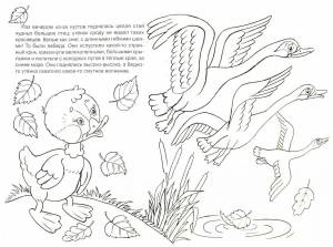 Раскраска гадкий утенок