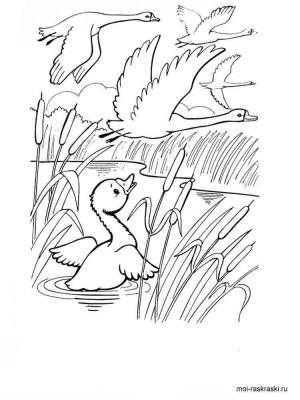 Раскраска из сказки Гадкий утенок