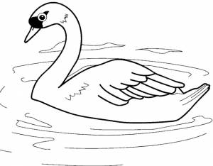 Раскраска Гадкий Утенок