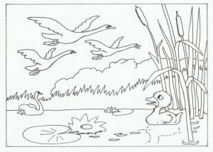 Раскраска гадкий утенок