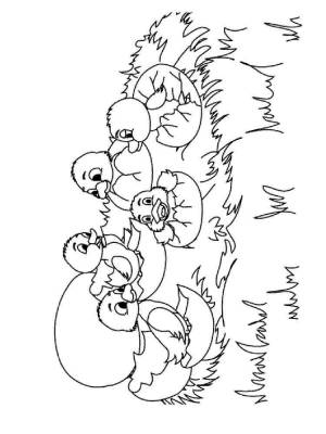 Раскраски Гадкий утенок