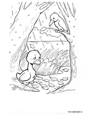 Раскраска из сказки Гадкий утенок