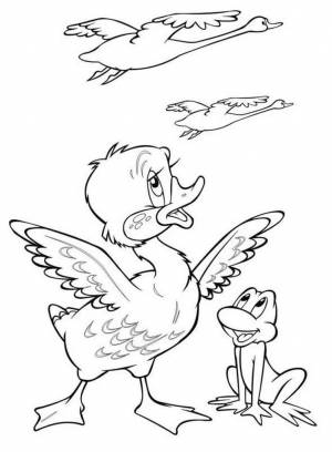 Раскраски Гадкий утенок