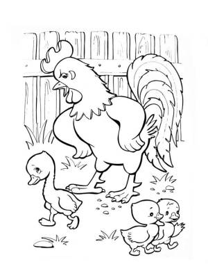 Раскраски Гадкий утенок