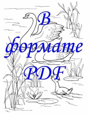 Раскраска Гадкий утенок