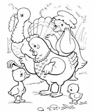 Раскраска гадкий утенок