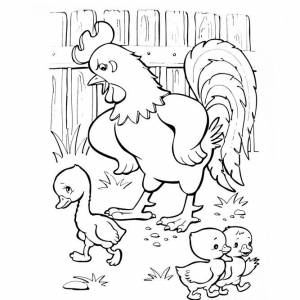 Раскраска Гадкий утенок