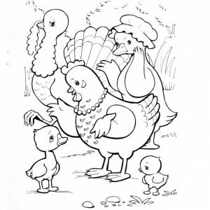 Раскраска Гадкий утенок