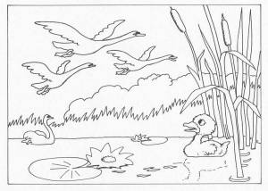 Раскраски Гадкий утенок для детей