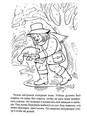 Раскраска Гадкий утенок  и