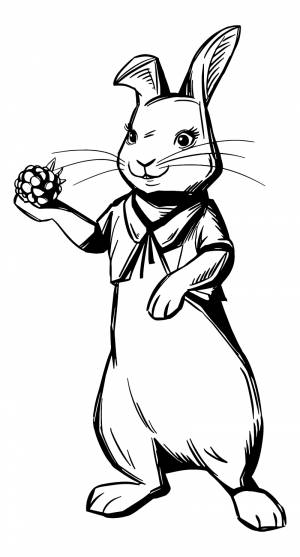 Раскраска кролик питер