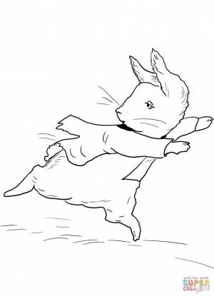 Раскраска Кролик Питер убегает от мистера Макгрегора