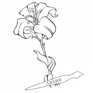 Раскраска Необыкновенный Аленький цветочек