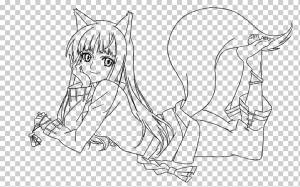 Штриховые рисунки Серый волк Книжка-раскраска Рисование Аниме, пряности и волк, белый, млекопитающее, лицо png