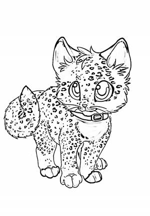 Раскраски аниме котики