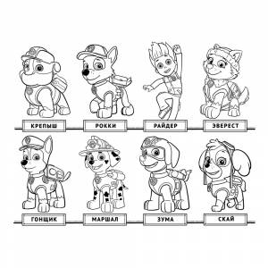 Раскраска Щенячий патруль