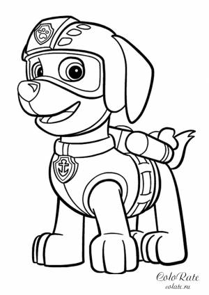 Зума из Щенячьего патруля