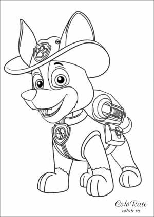 Щенок Трекер из Щенячьего патруля