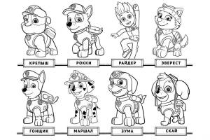 Раскраска Щенячий патруль 1