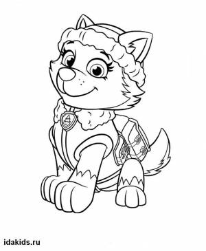 Раскраска Щенячий Патруль   50
