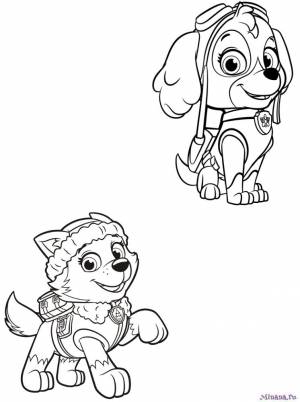 Раскраска Щенячий патруль 4