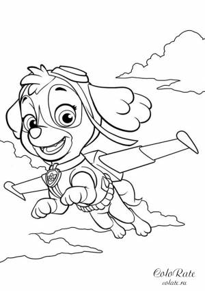 Раскраска Скай среди облаков