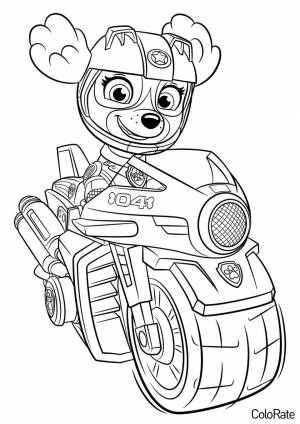 Раскраска Скай на мотоцикле