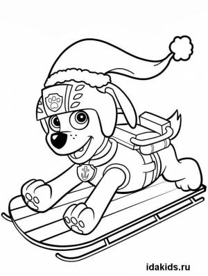 Раскраска Щенячий Патруль Зума на санках