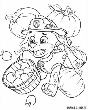 Раскраска Щенячий Патруль