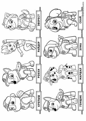 Раскраска Щенячий патруль